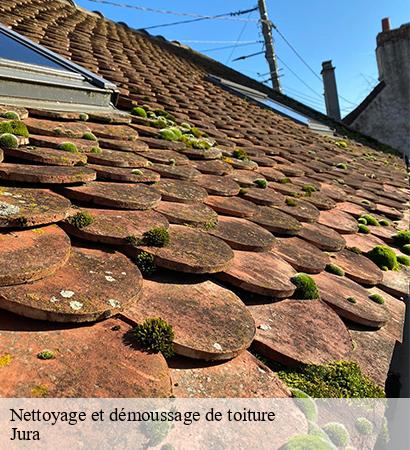 Nettoyage et démoussage de toiture 39 Jura  Provins Rénovation