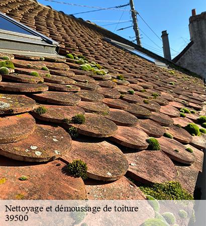 Nettoyage et démoussage de toiture  abergement-la-ronce-39500 Provins Rénovation