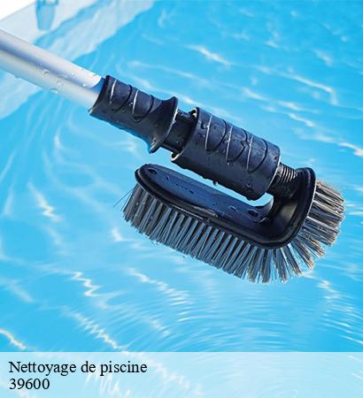 Nettoyage de piscine  montigny-les-arsures-39600 Provins Rénovation