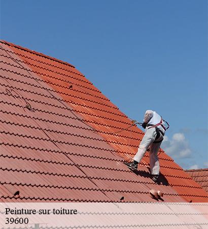 Peinture sur toiture  les-planches-pres-arbois-39600 Provins Rénovation