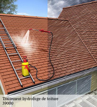 Traitement hydrofuge de toiture  lons-le-saunier-39000 Provins Rénovation